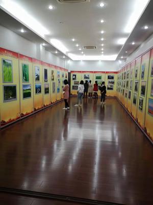我院组织开展“庆祝新中国成立70周年职工摄影活动”